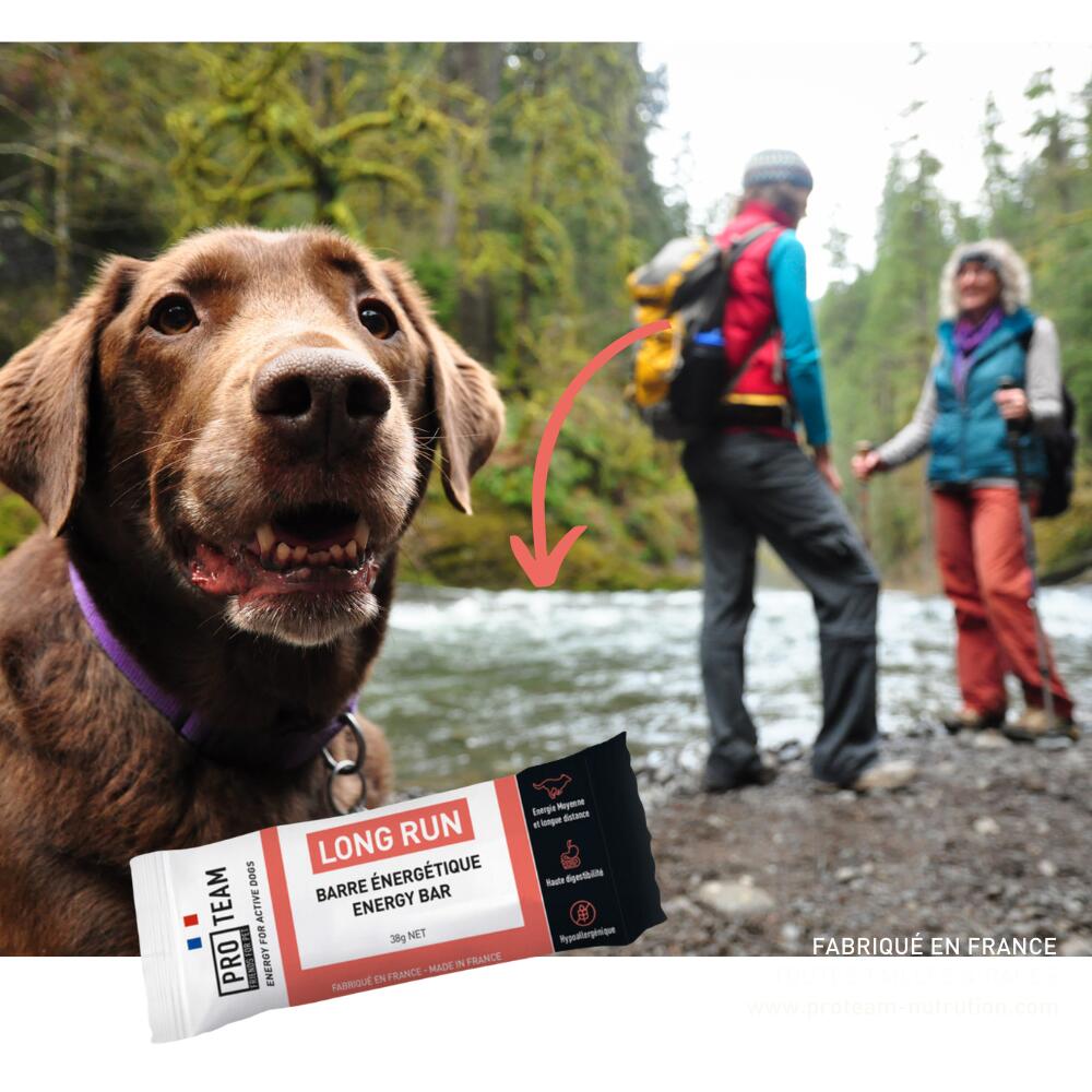 BARRE ÉNERGÉTIQUE CHIEN SPORT – ENDURANCE & BOOST - PRO TEAM LONG RUN - 20 X 38g 2/4