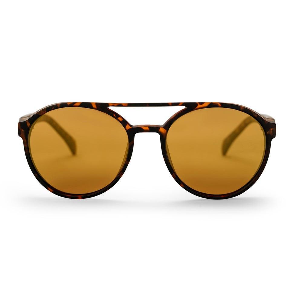 Gafas Chpo Rickard Turtle Marrón Dorado 2/7