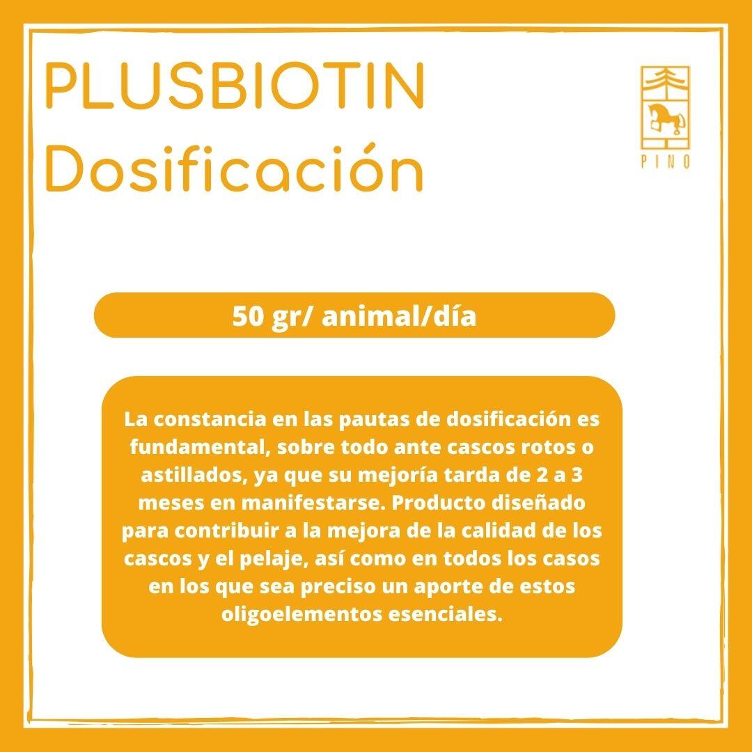 Suplemento nutricional con biotina para caballos. Lab Pino. 3/7