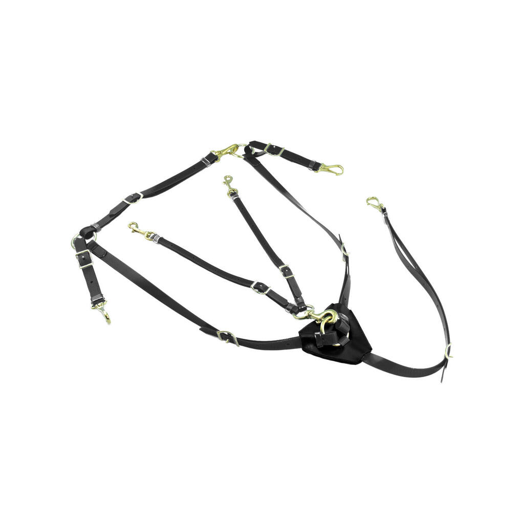 Biothane breastplate with martingale