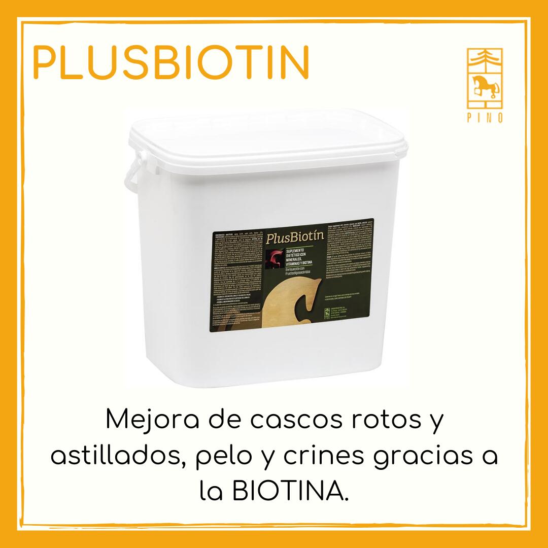 Suplemento nutricional con biotina para caballos. Lab Pino. 2/7