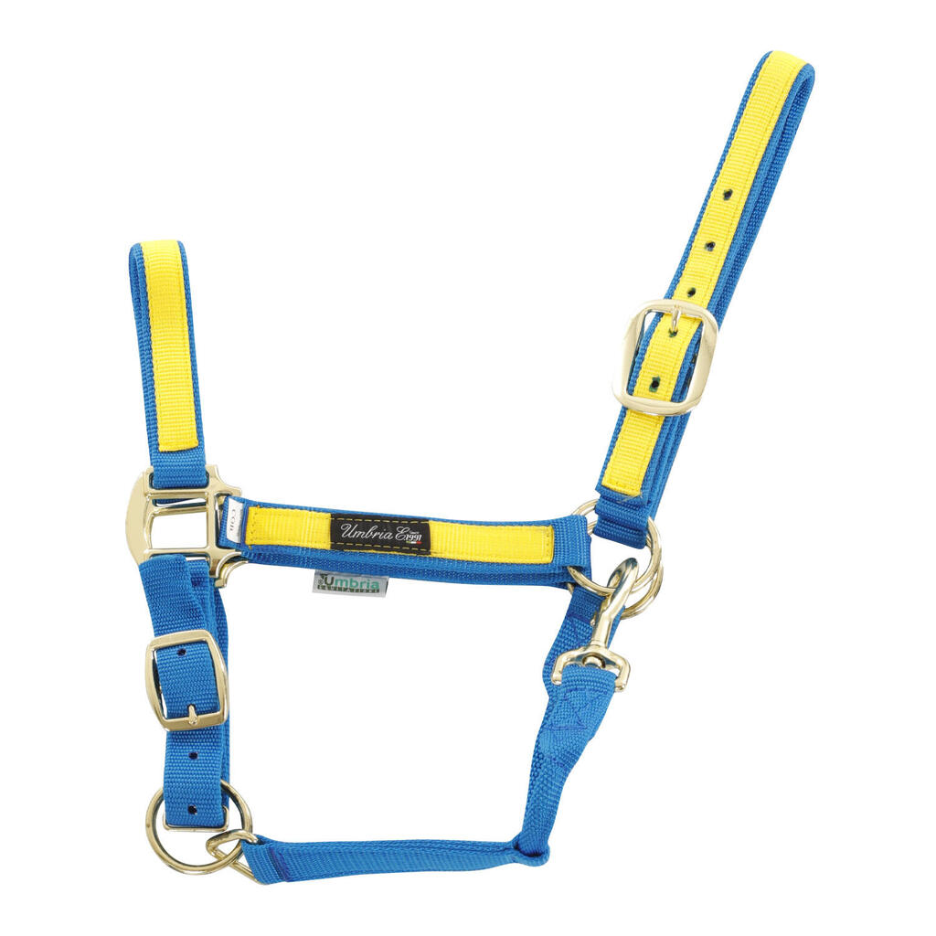 Nylon halter with colored insert