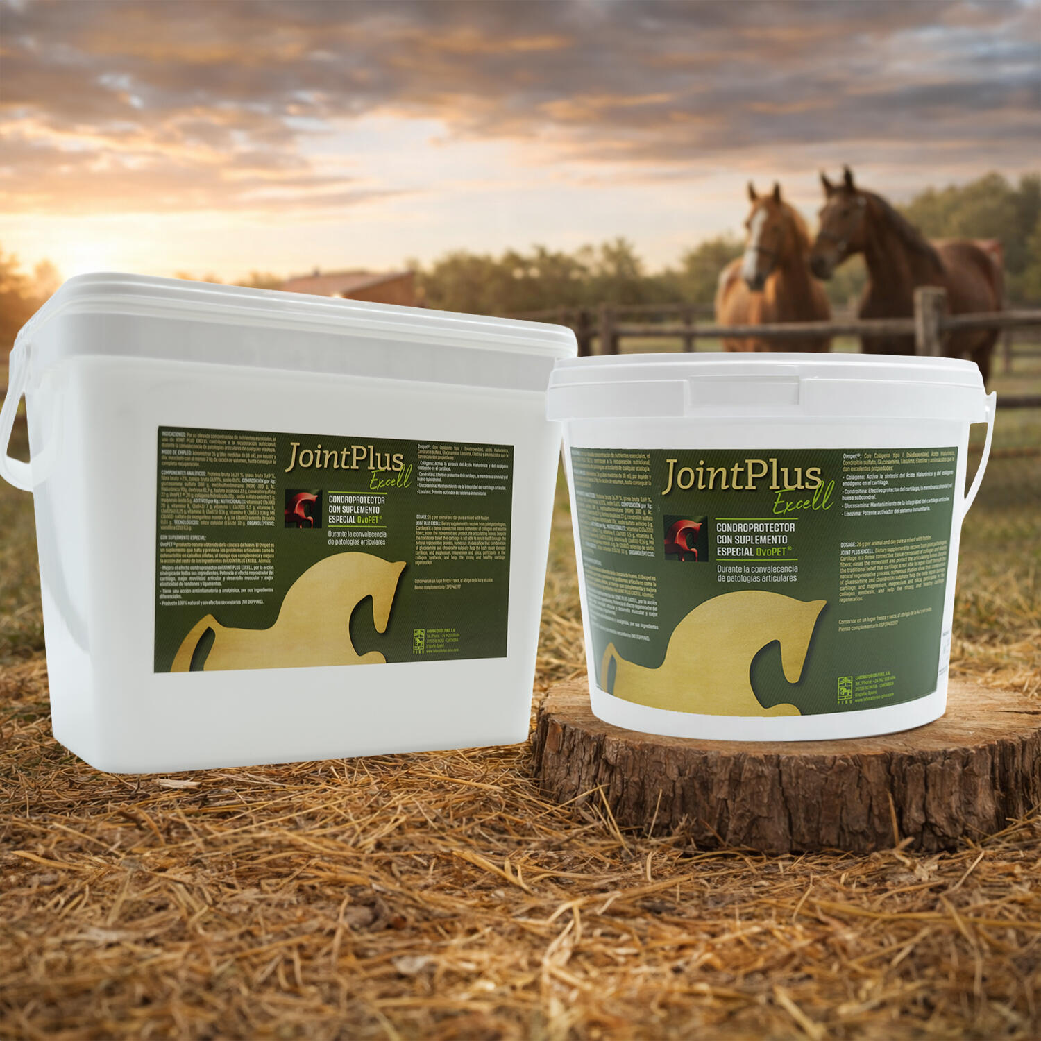 Condroprotector para caballos Joint Plus Excell. Lab Pino. Con Ovopet. 5/5