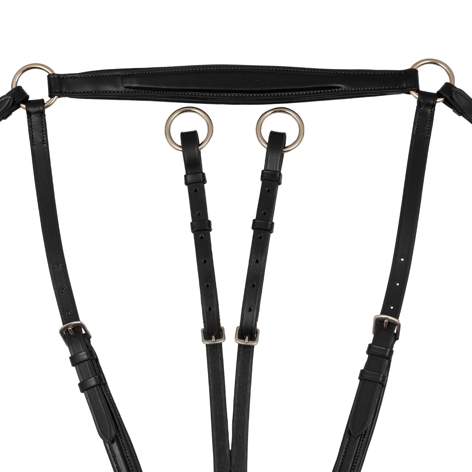Collier de chasse rembourré avec martingale amovible 5/5