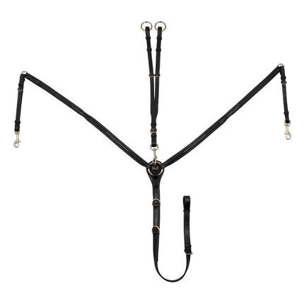 Kontrastierte brustpanzerverzierung