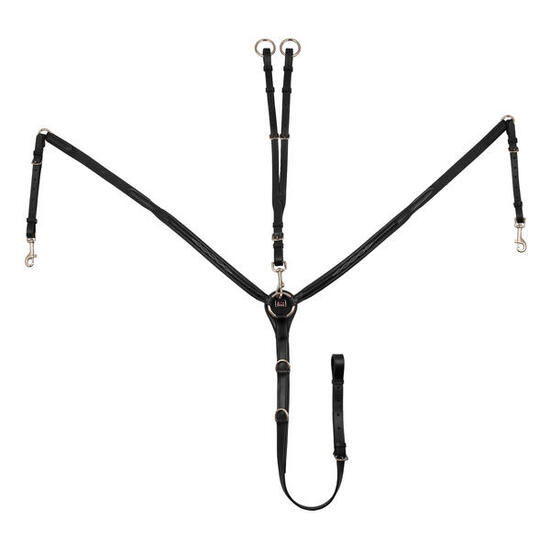 Kontrastierte brustpanzerverzierung