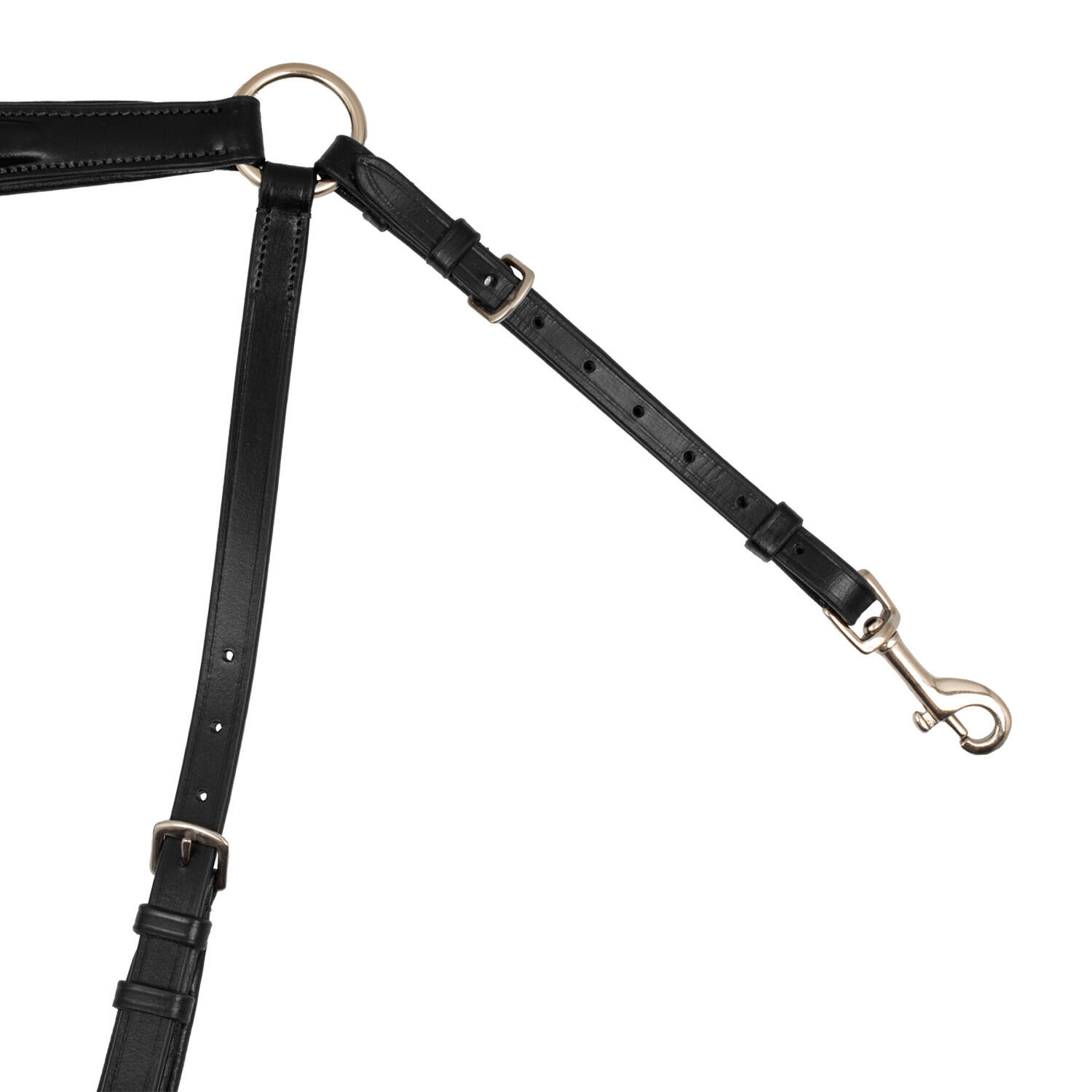 Collier de chasse rembourré avec martingale amovible 4/5