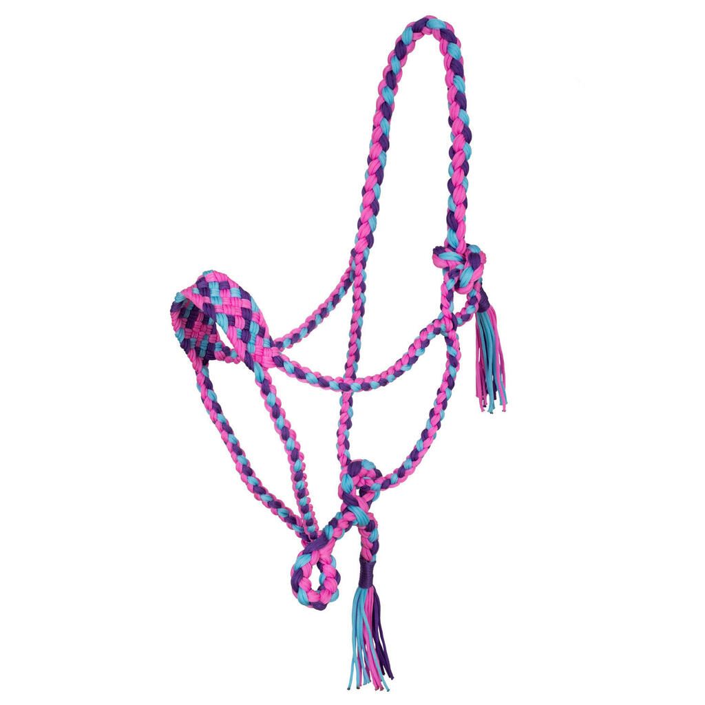 PINK / BLUE / PURPLE