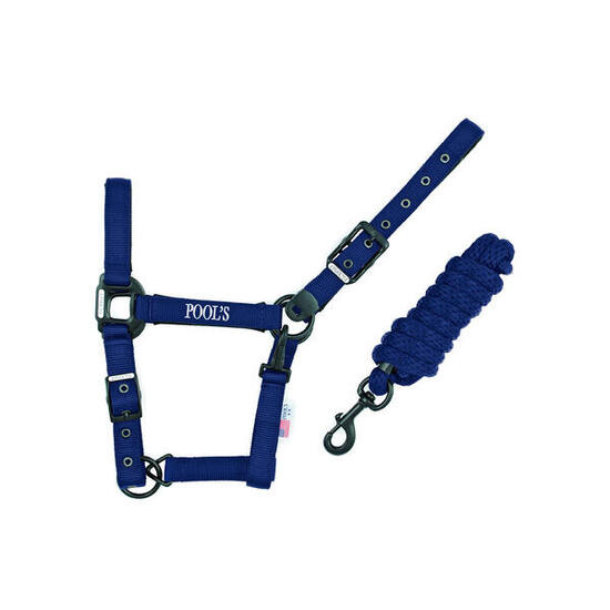 Nylon-farbiges halfter mit führstrick