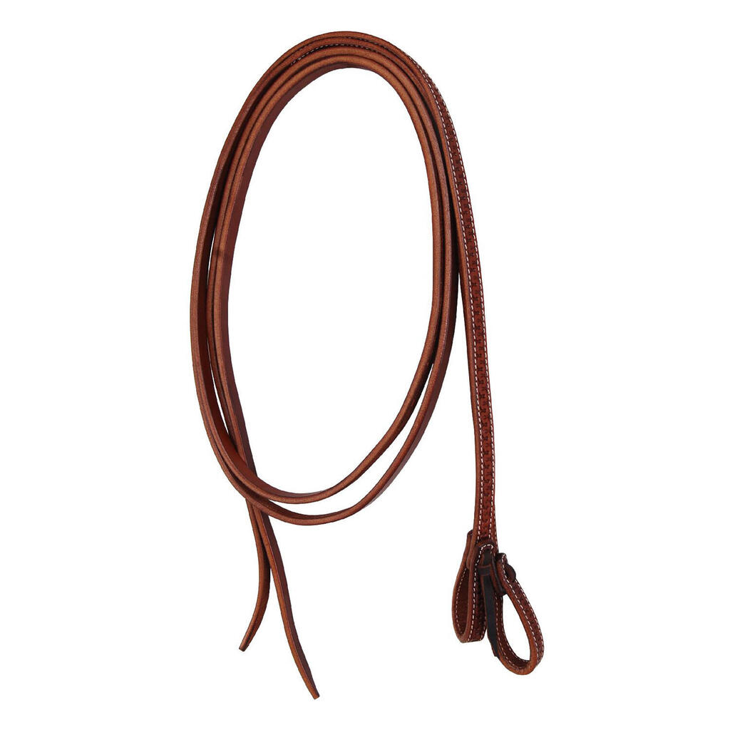 Split reins with snake motif