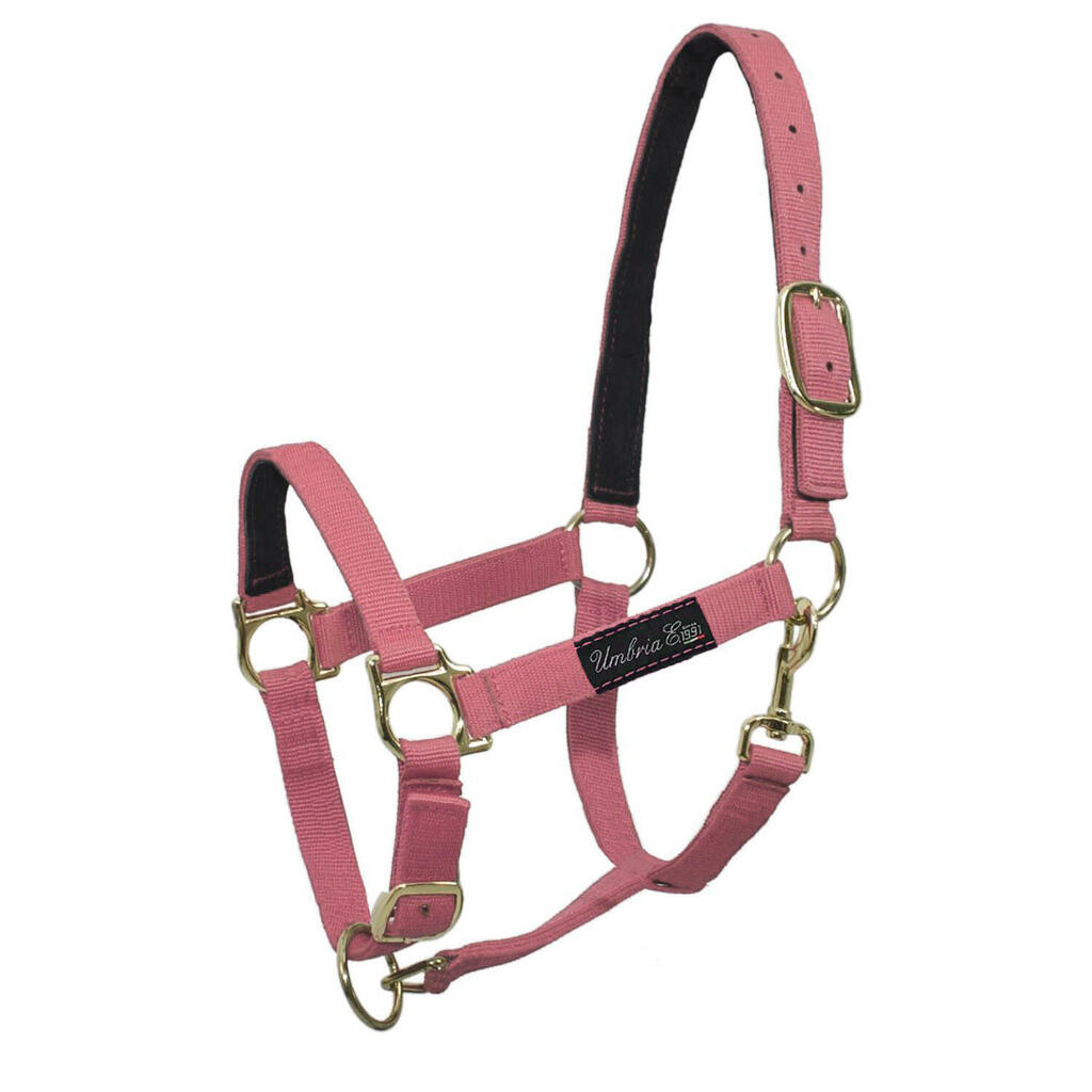 Nylon halter with leather padding