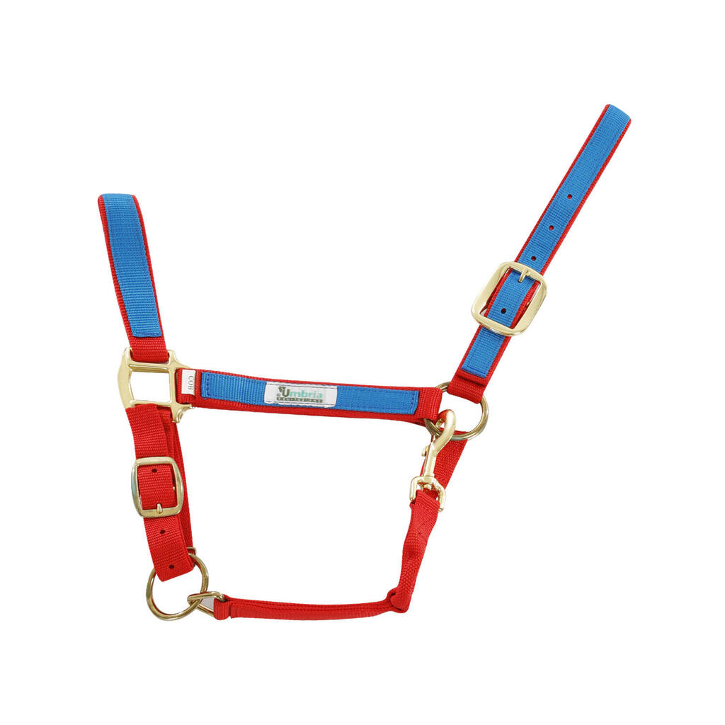Nylon halter with colored insert