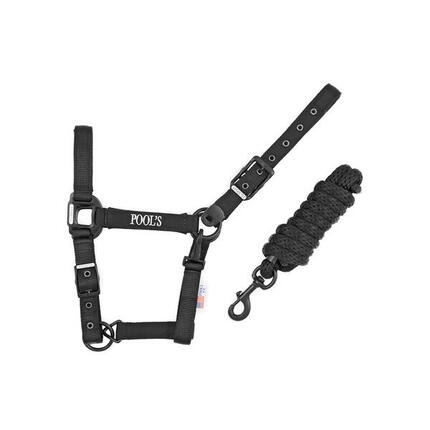 Nylon-farbiges halfter mit führstrick