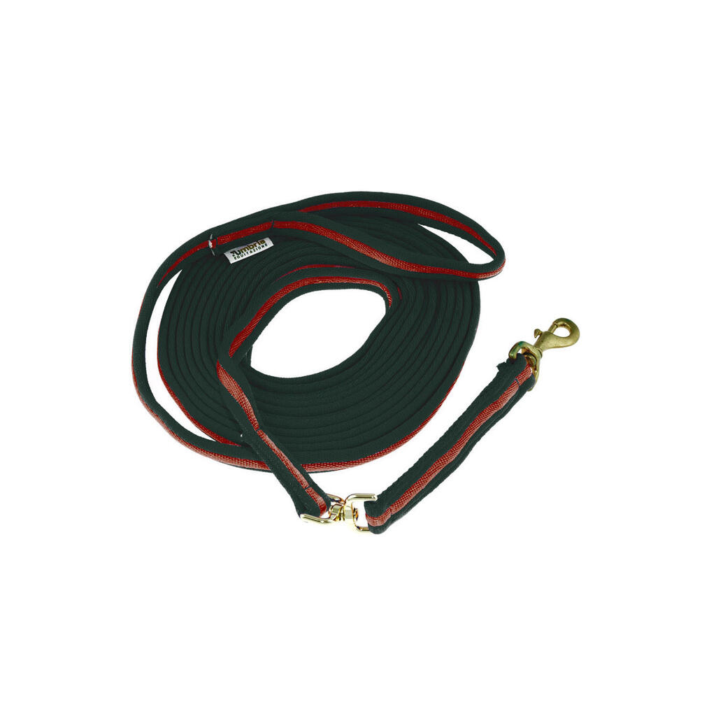 Lunge rein in padded cotton