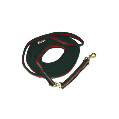 Lunghina cavallo Umbria Equitazione Longia