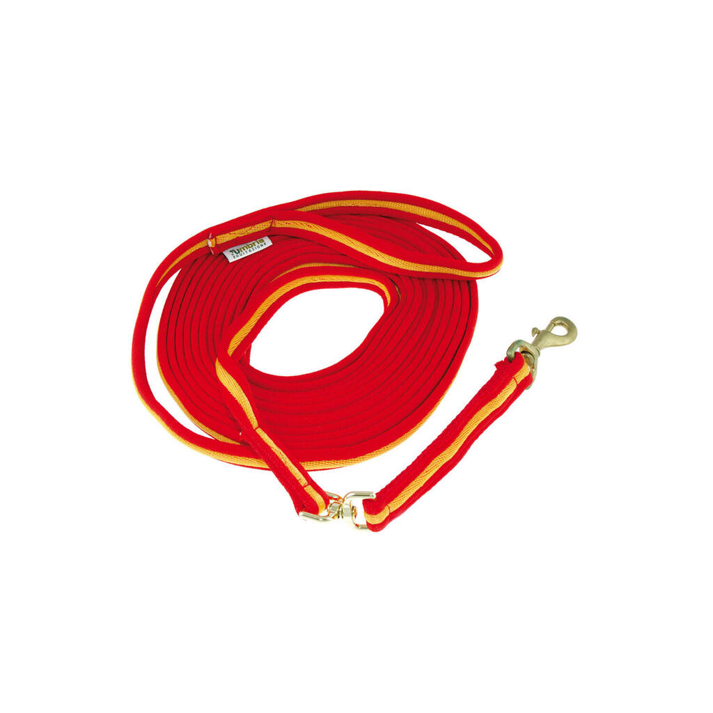 Lunge rein in padded cotton
