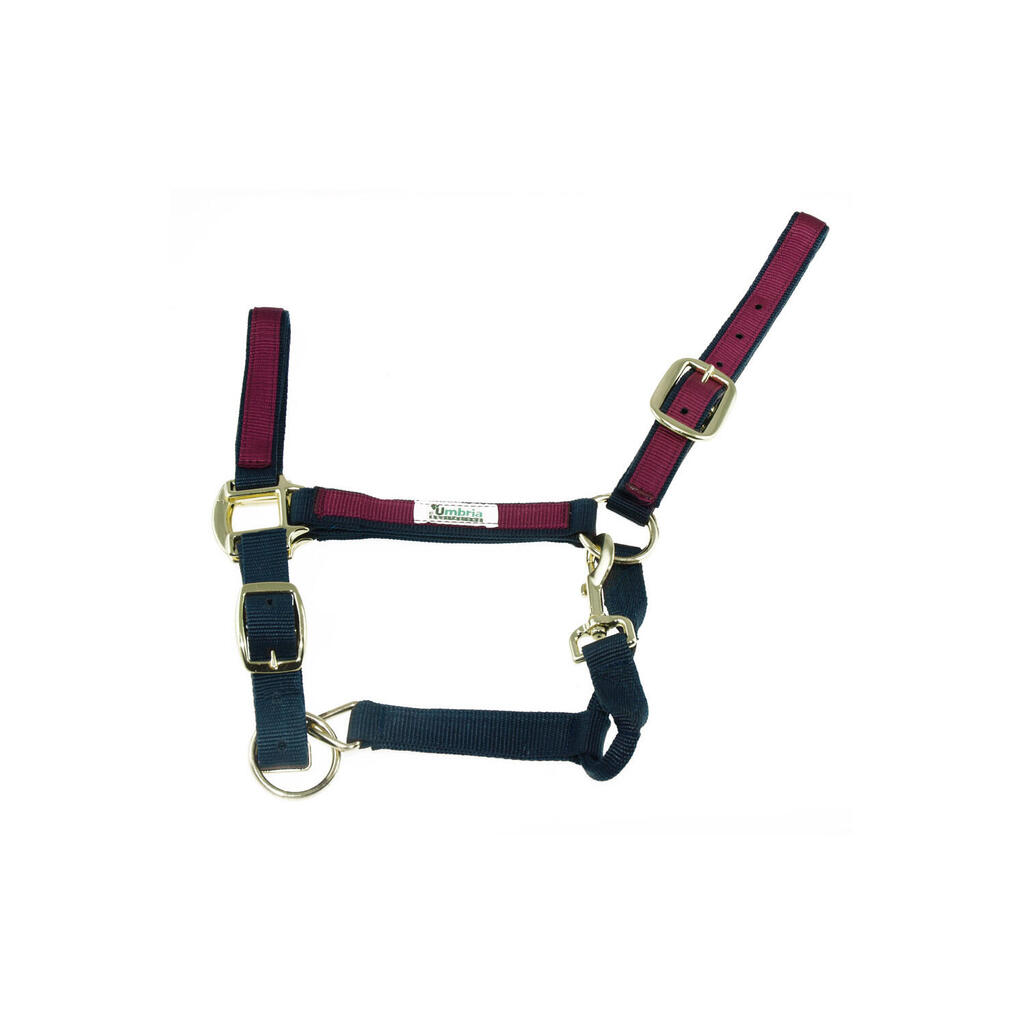 Nylon halter with colored insert