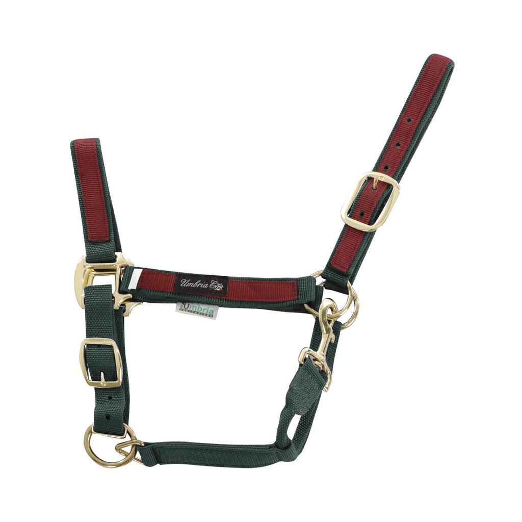 Nylon halter with colored trim