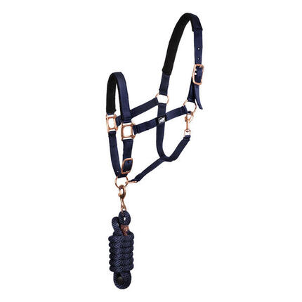 Licol en nylon avec double néoprène et longe