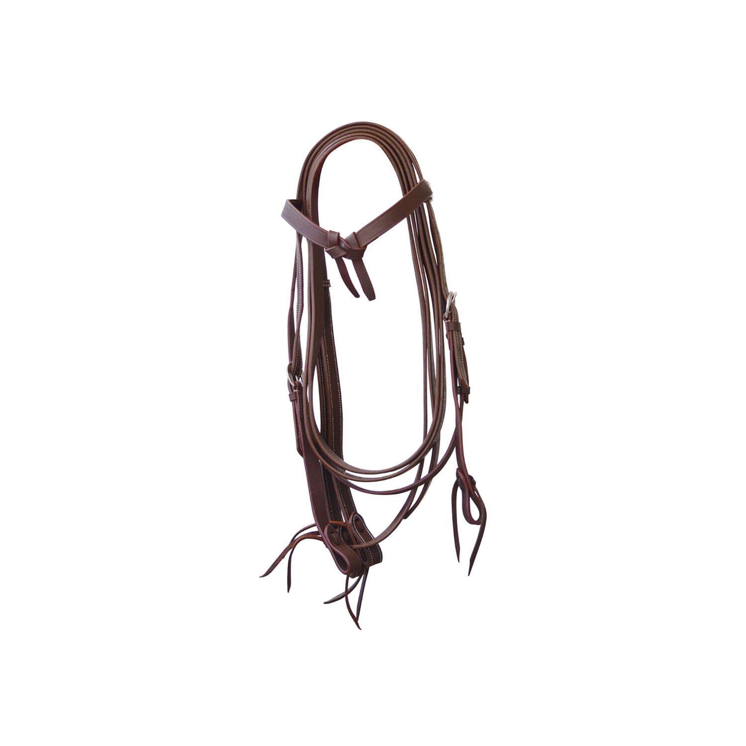 LAKOTA picture