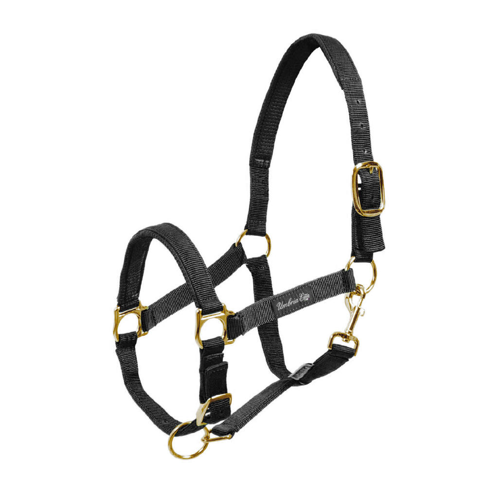 Nylon halter with neoprene padding
