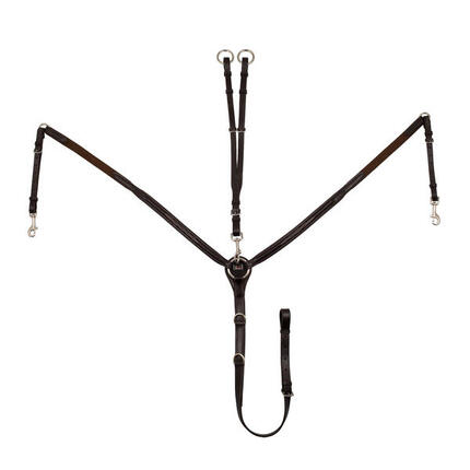 Kontrastierte brustpanzerverzierung