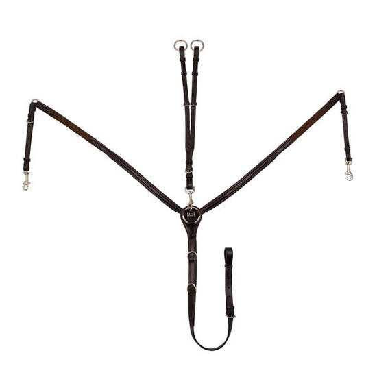 Kontrastierte brustpanzerverzierung