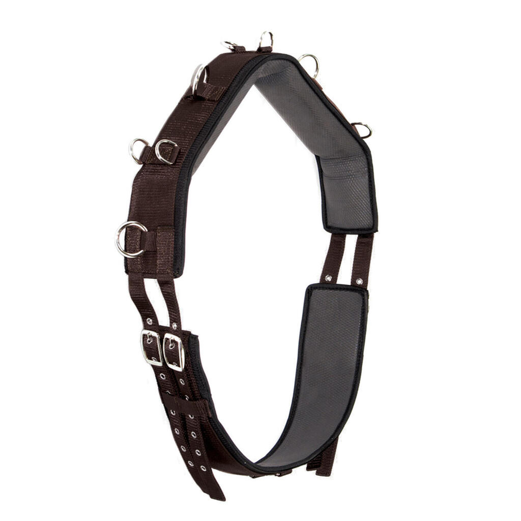 Nylon and neoprene taming band cob size