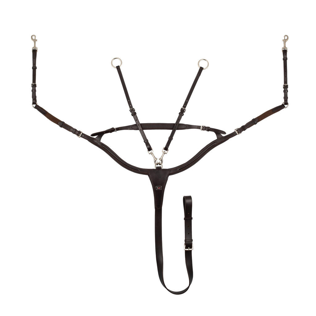 Anatomical padded breastplate with bridge