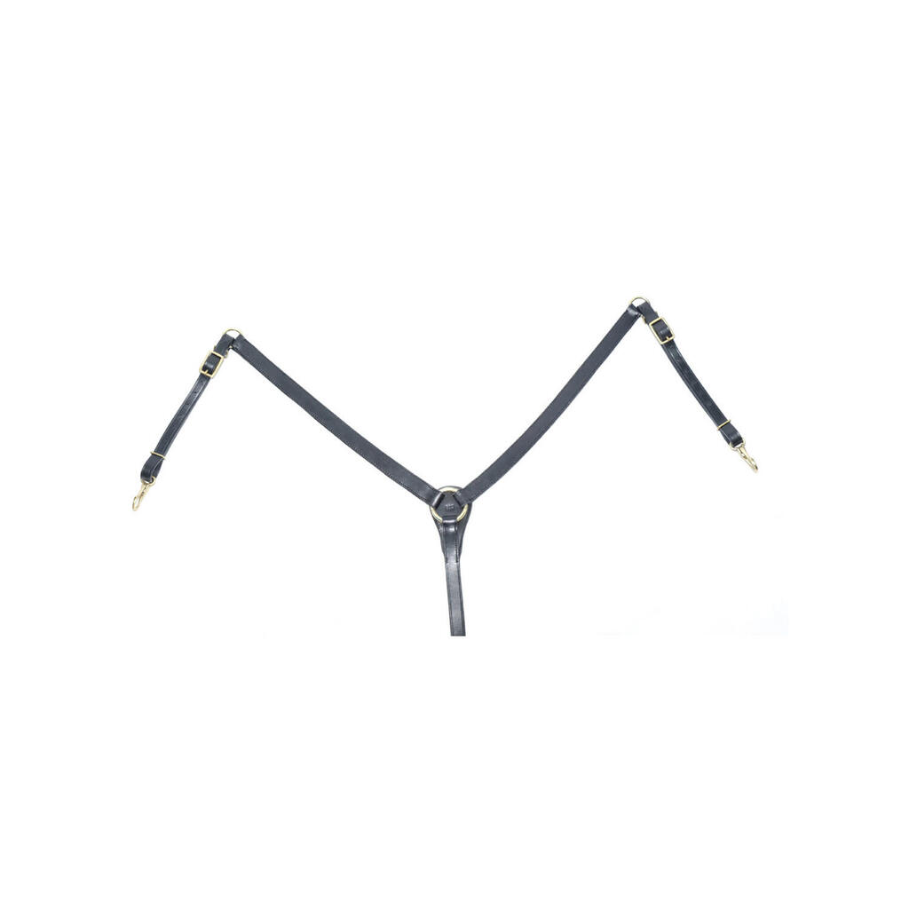 Supreme y-shaped breastplate