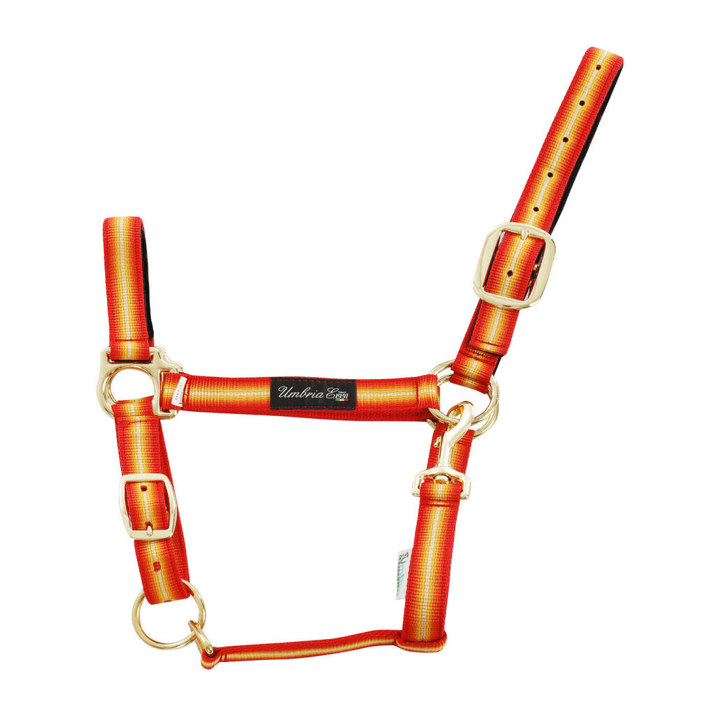 Nylon halter with leather padding