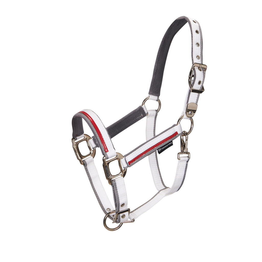Halter with double adjustment