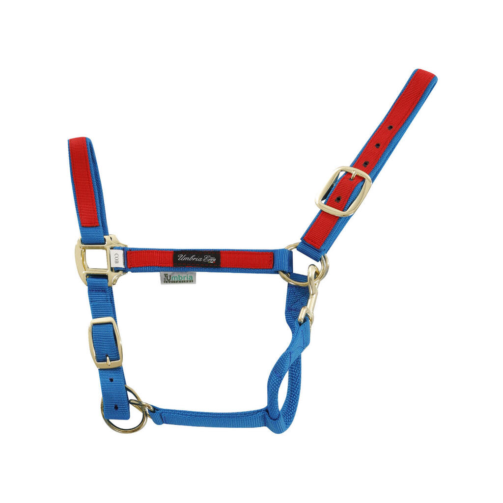 Nylon halter with colored insert