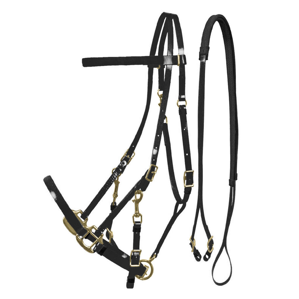 Headstall halter in biothane