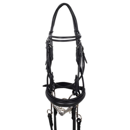 Bridon de dressage double frontal rond
