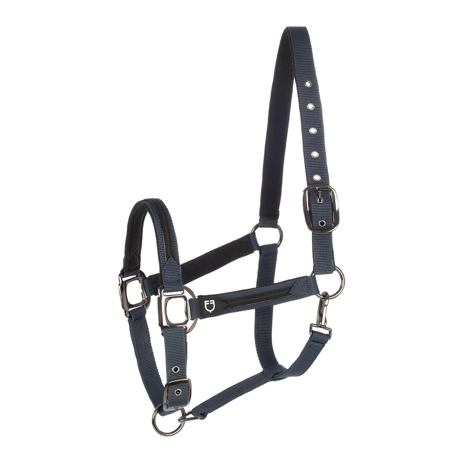 EQUESTRO picture