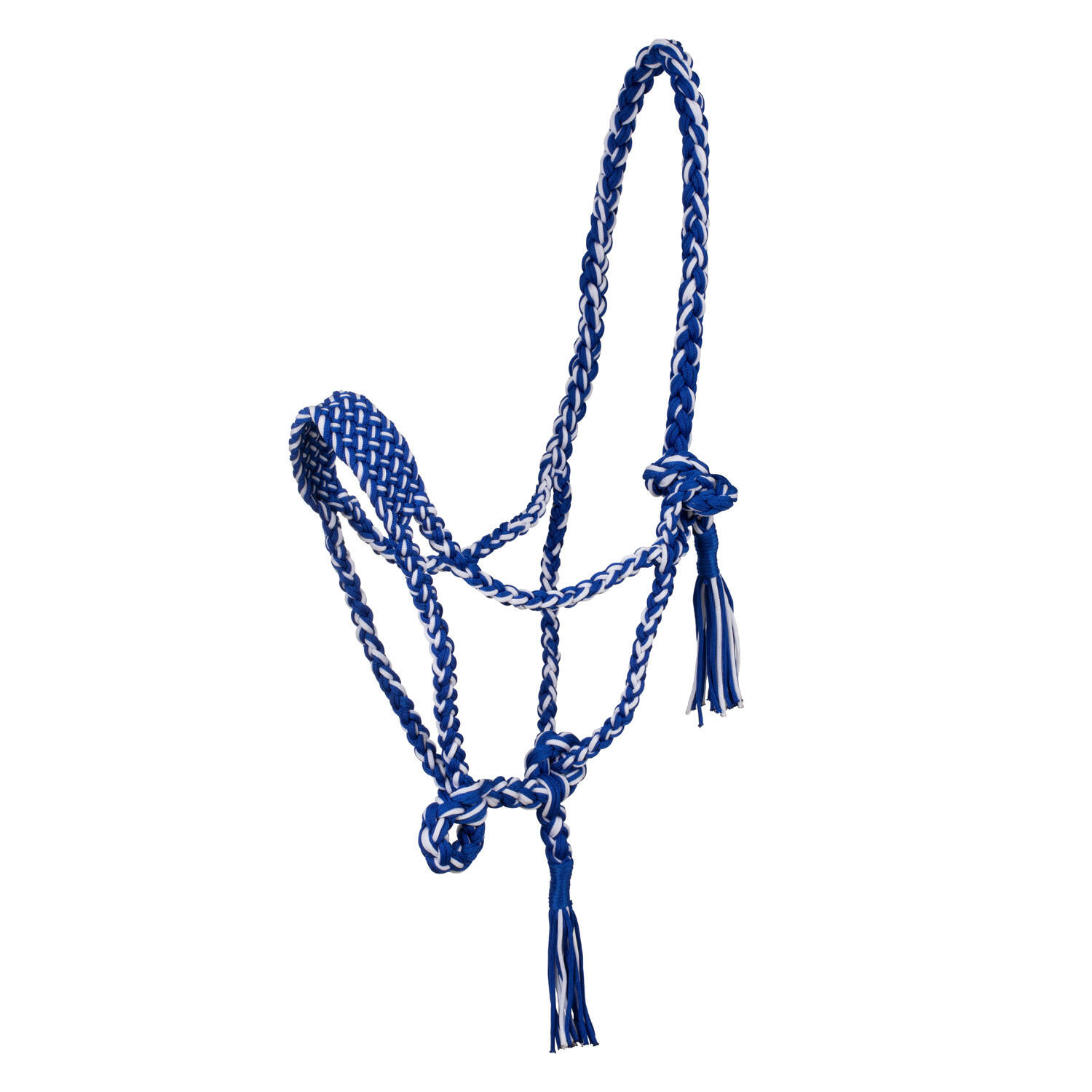 azul royal / blanco