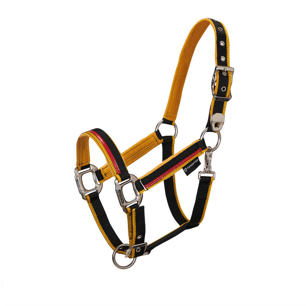 Halter with double adjustment