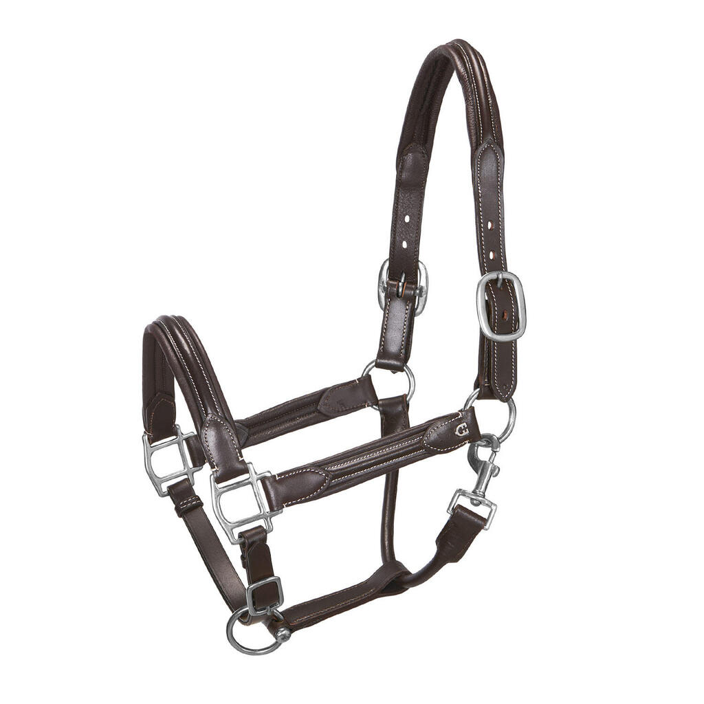 Soft leather halter with durable buckles