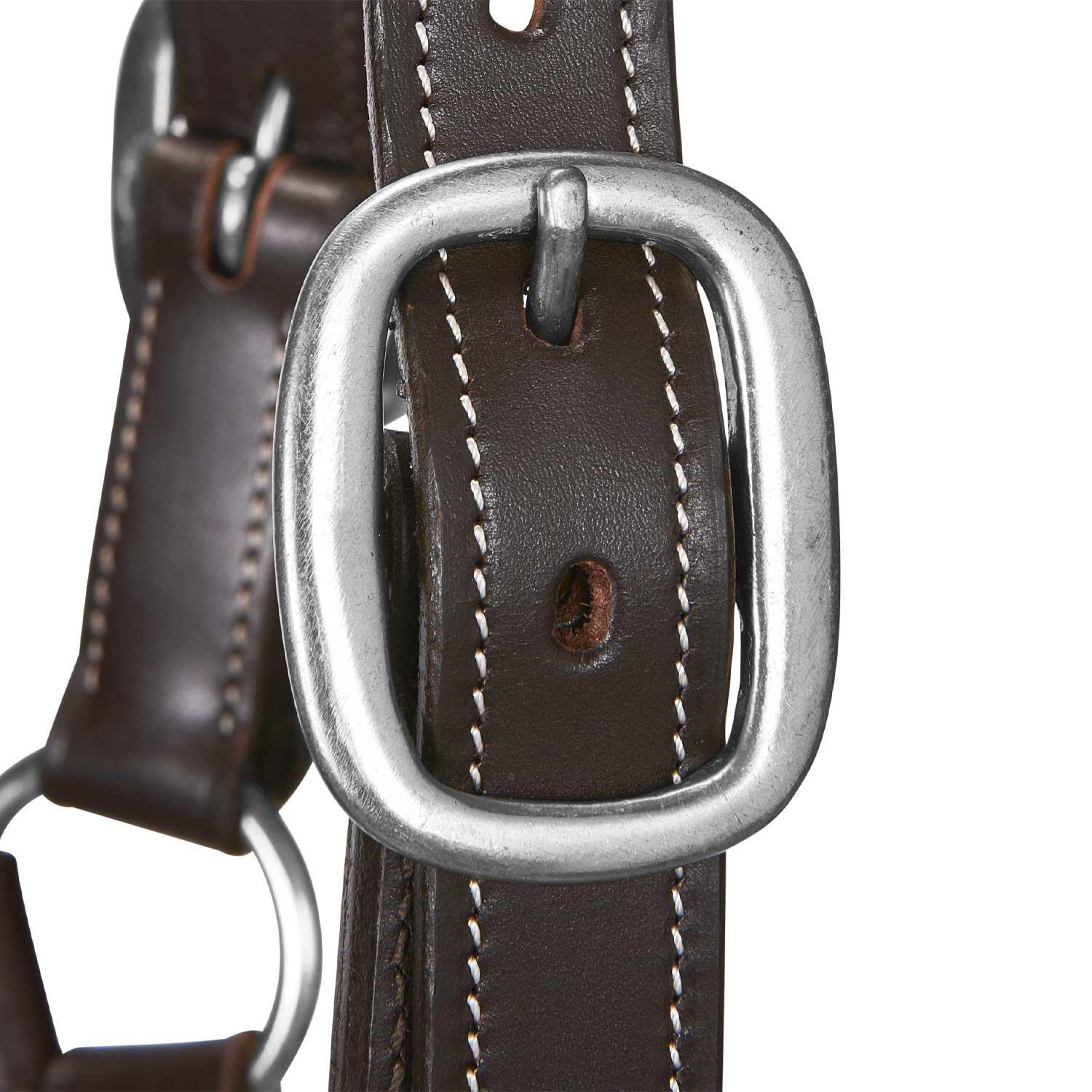 Cavezza en cuir souple boucles résistantes 4/5