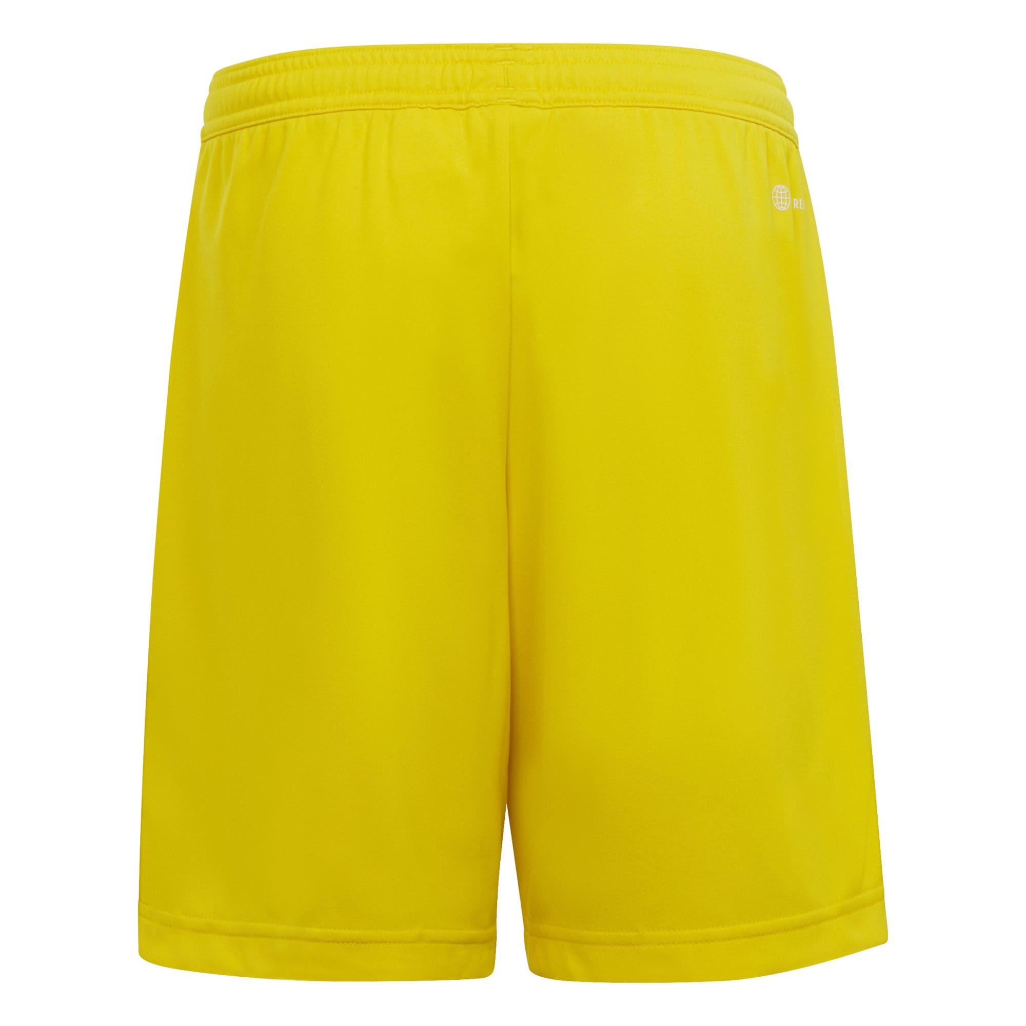 Adidas Sport Ent22 Sho Y Korte Broek Kind 2/5
