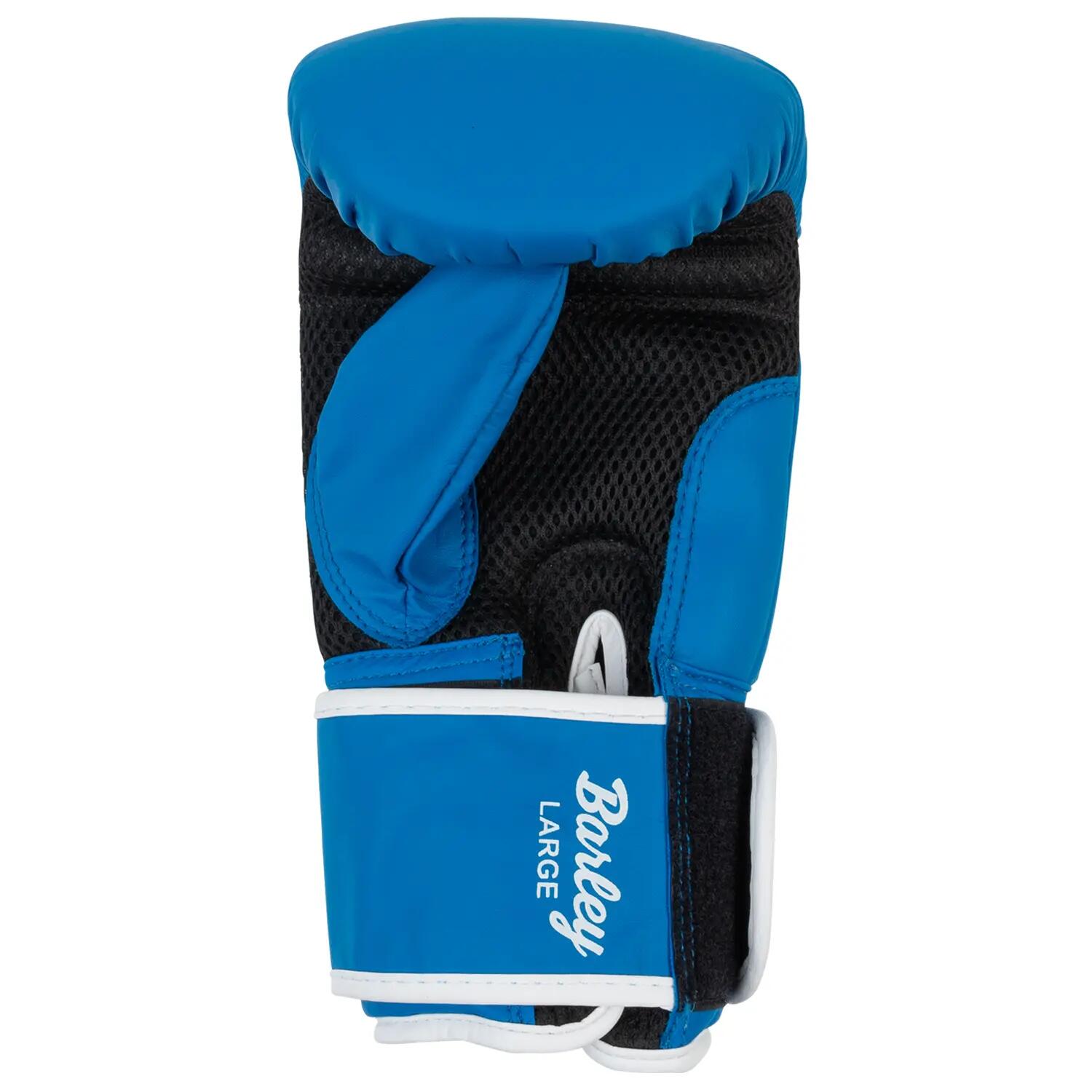 Guanti da allenamento per la boxe Lonsdale Barley 2/7