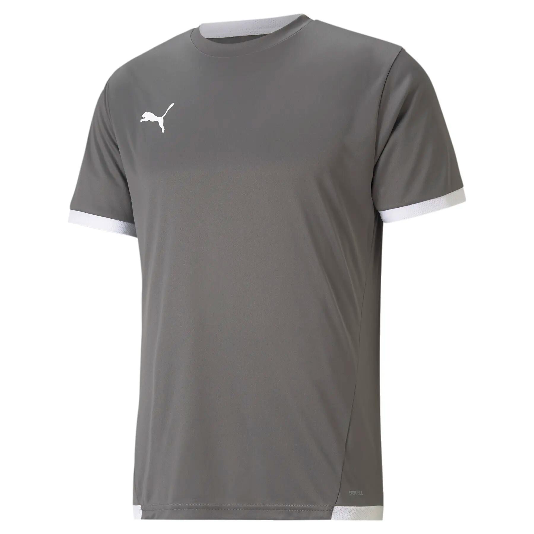 PUMA picture