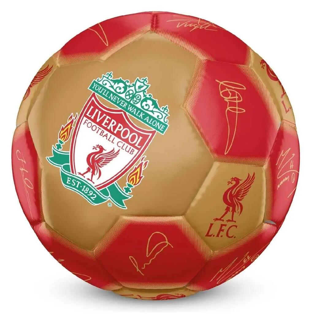 LIVERPOOL FC picture