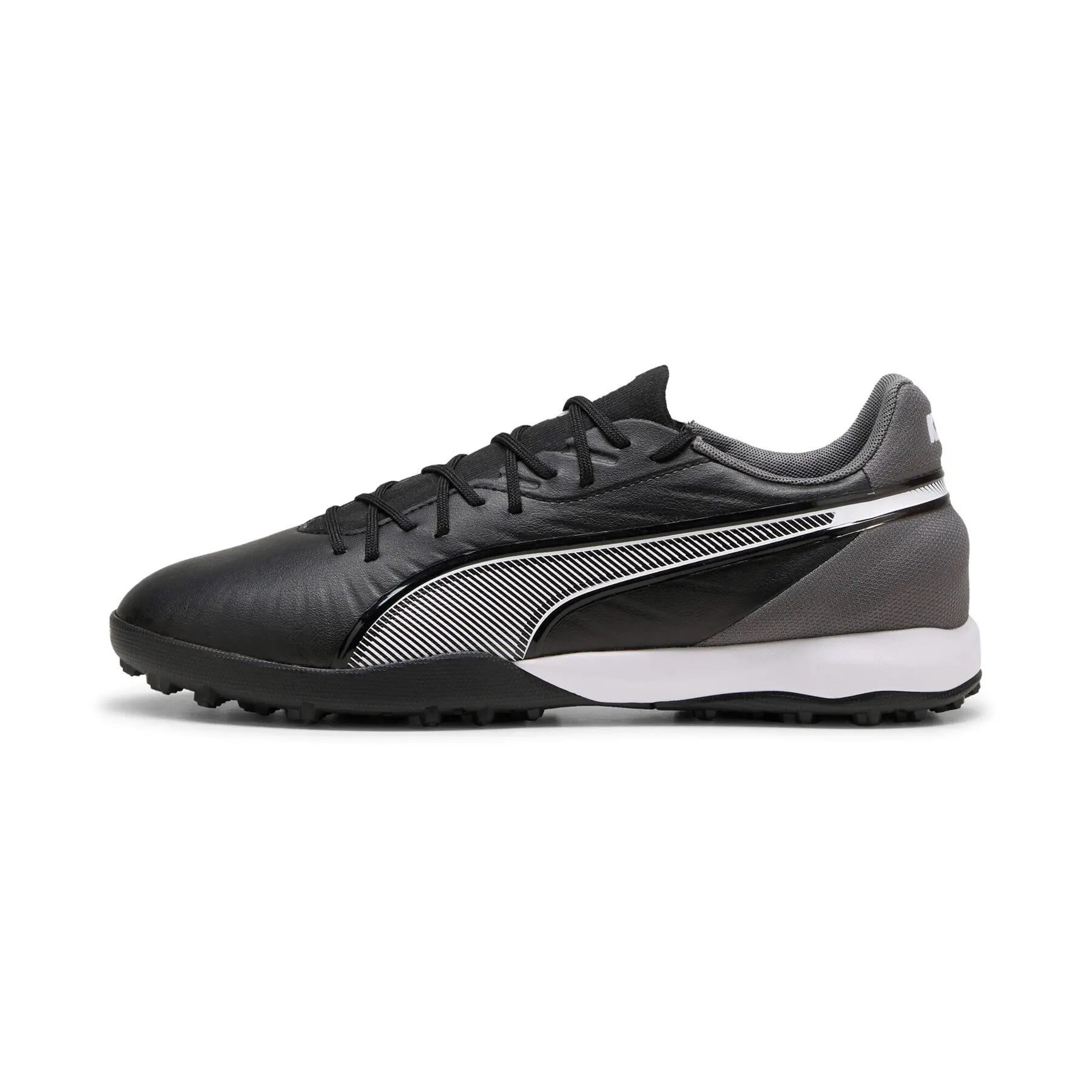 PUMA picture
