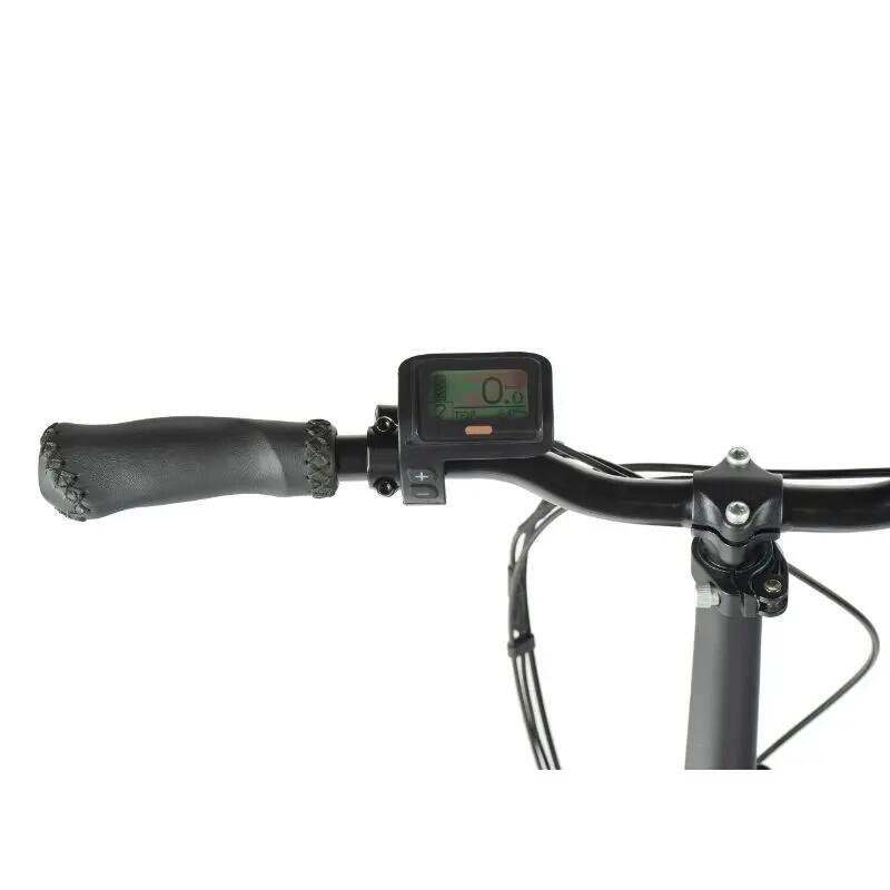 Biciclette elettriche per bambini Leader Fox Fat Bike 20 Cody 2024 2/6