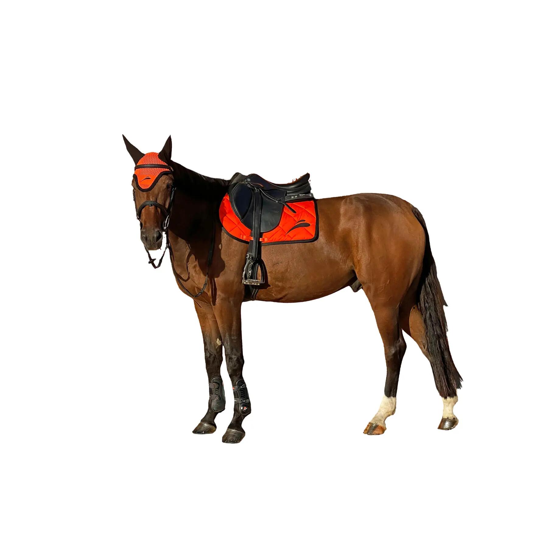 EQUICK picture