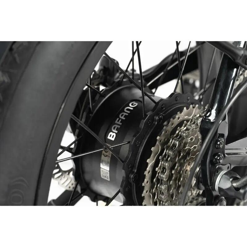 Biciclette elettriche per bambini Leader Fox Fat Bike 20 Cody 2024 5/6