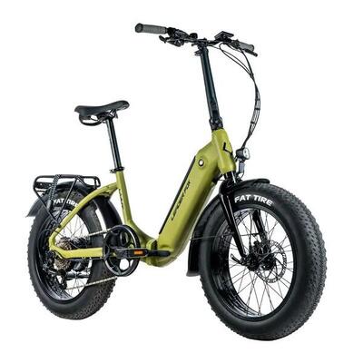 Elektrische fietsen voor kinderen leader fox fat bike 20 cody 2024