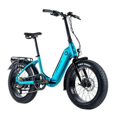 Elektrische fietsen voor kinderen leader fox fat bike 20 cody 2024